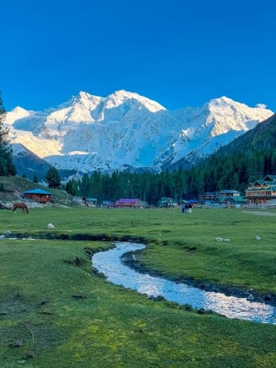 Fairy Meadows