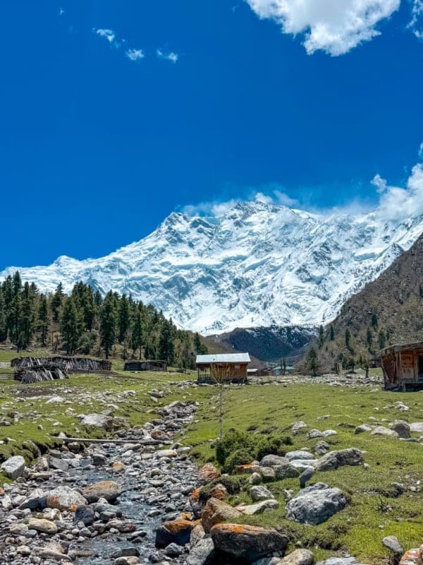 Beyal camp,Fairy Meadows