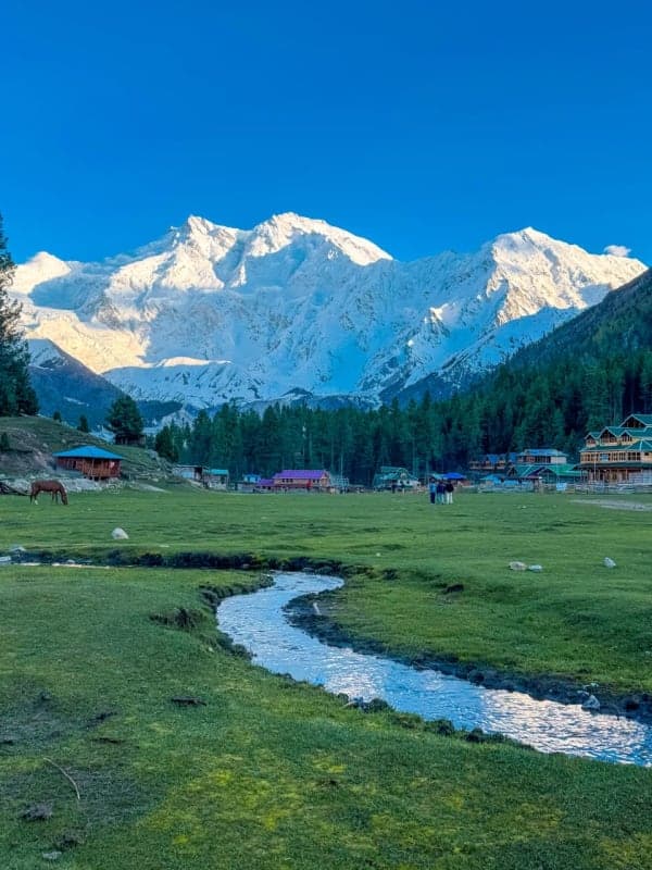 Fairy Meadows