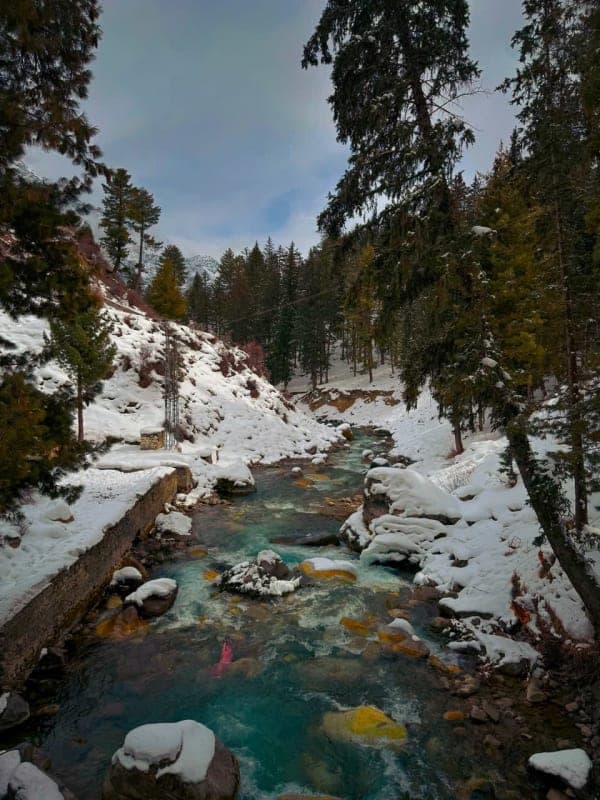 Naltar Valley in winter
